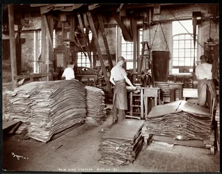 Vista interior, de, três homens, trabalhando, com, couro, e, equipamento pesado, em, a, couro nova iorque, cercando, co., Nova iorque, 1905, (silver, gelatin, print)